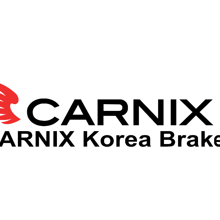 لنت ترمز جلو کیا ریو (کارنیکس - CARNIX)